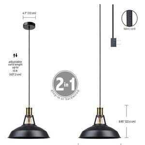 Globe Matte Black and Brass Hanging Light